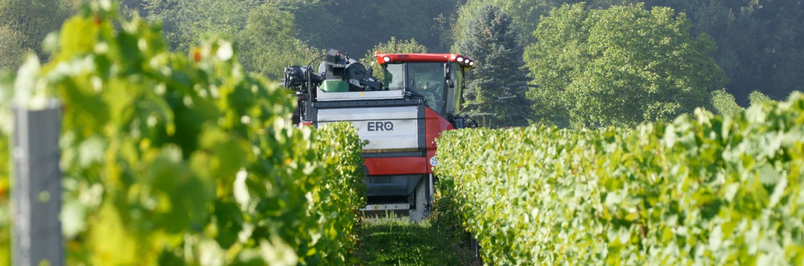 ERO Vendemmiatrice Grapeliner Serie 5000