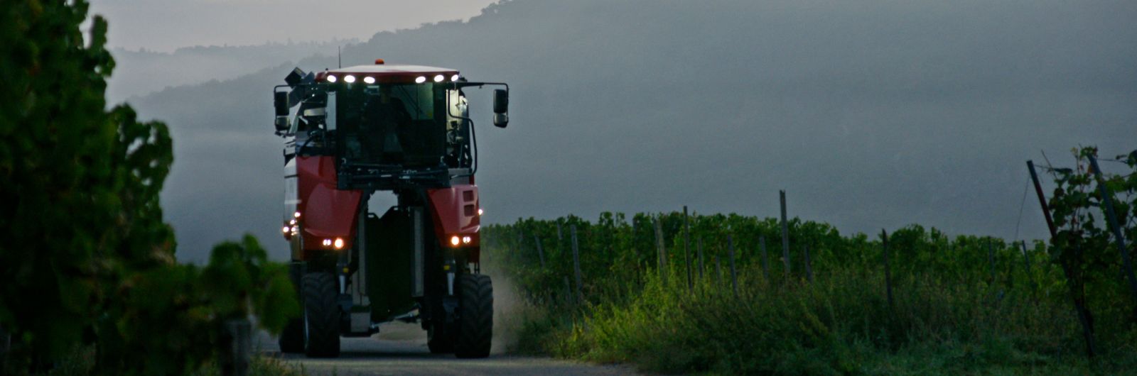 ERO Vendemmiatrice Grapeliner Serie 5000
