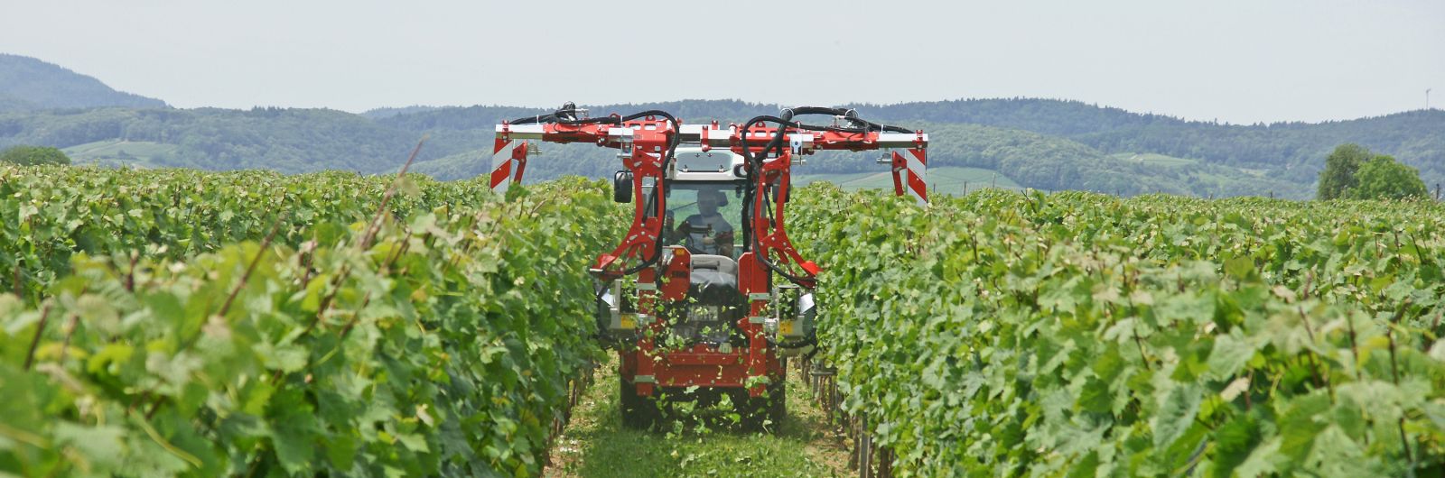 ERO Effeuilleuse à rouleaux Professional Profi Line 2 rangs complets