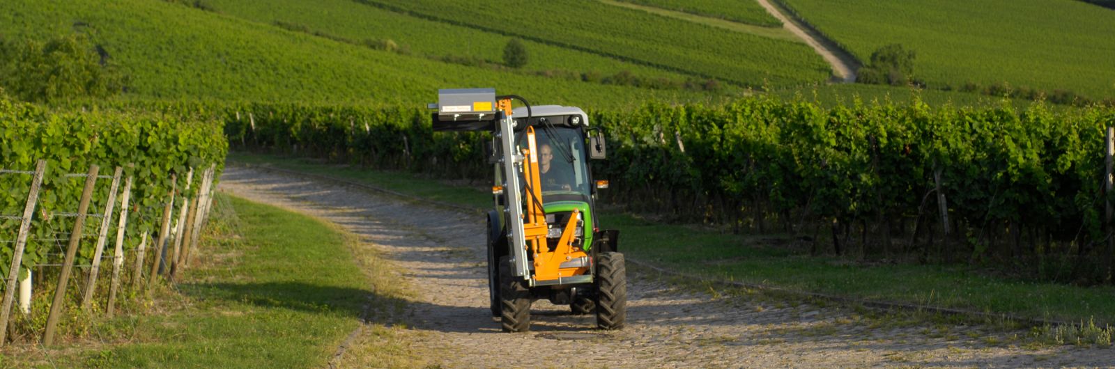 BINGER Cimatrice LSA 320 AL2 a L rovesciata unilaterale