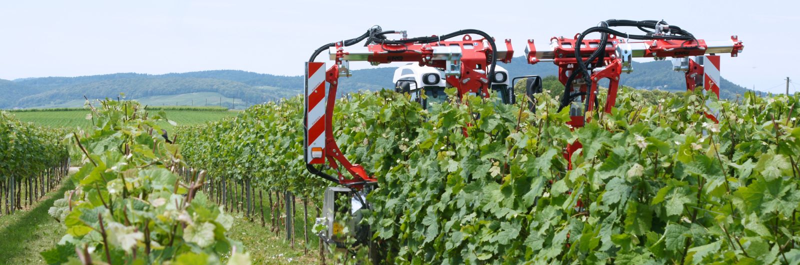 ERO Effeuilleuse à rouleaux Professional Profi Line 2 rangs complets